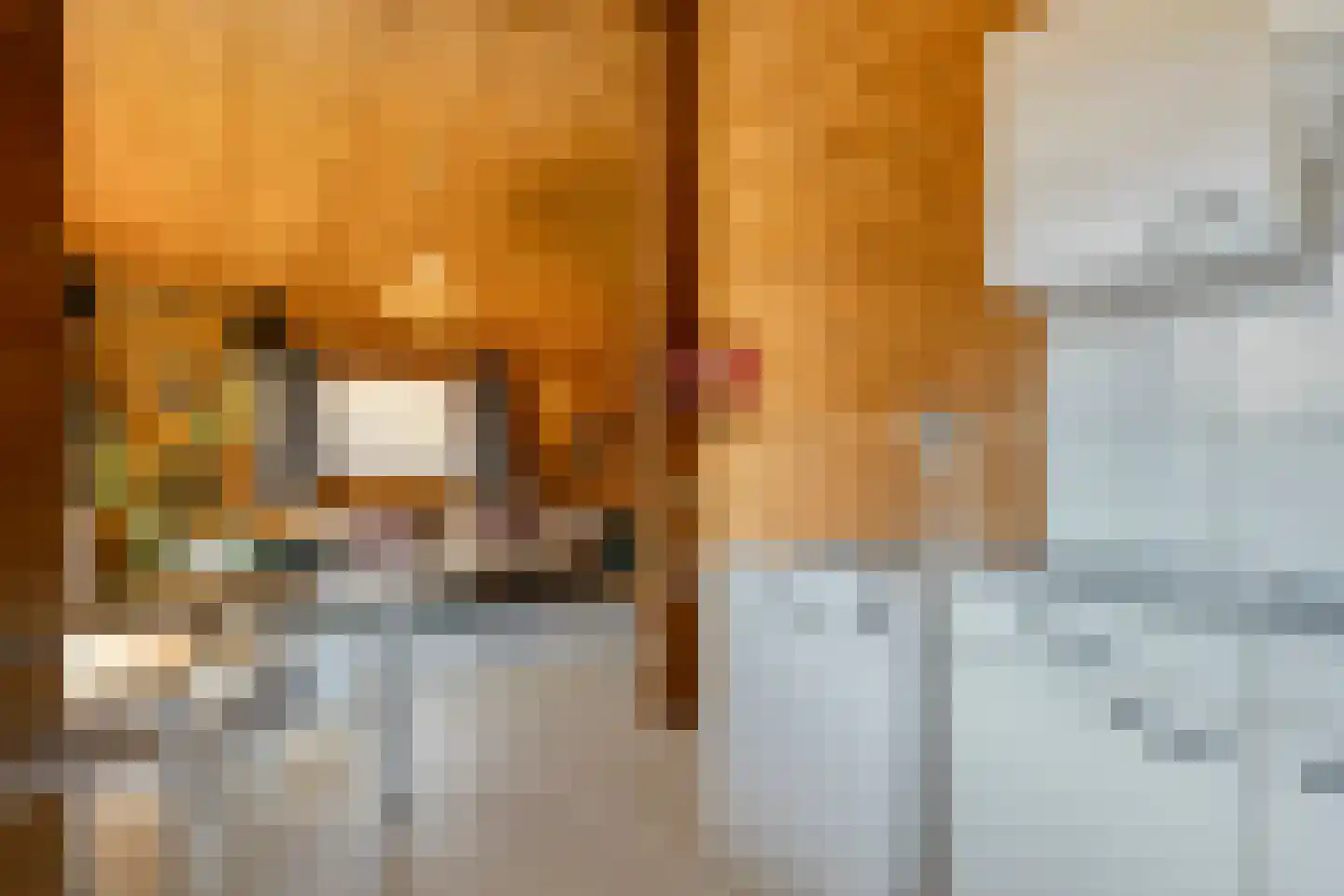 Boslaan 1 R66 Gramsbergen thumbnail 18