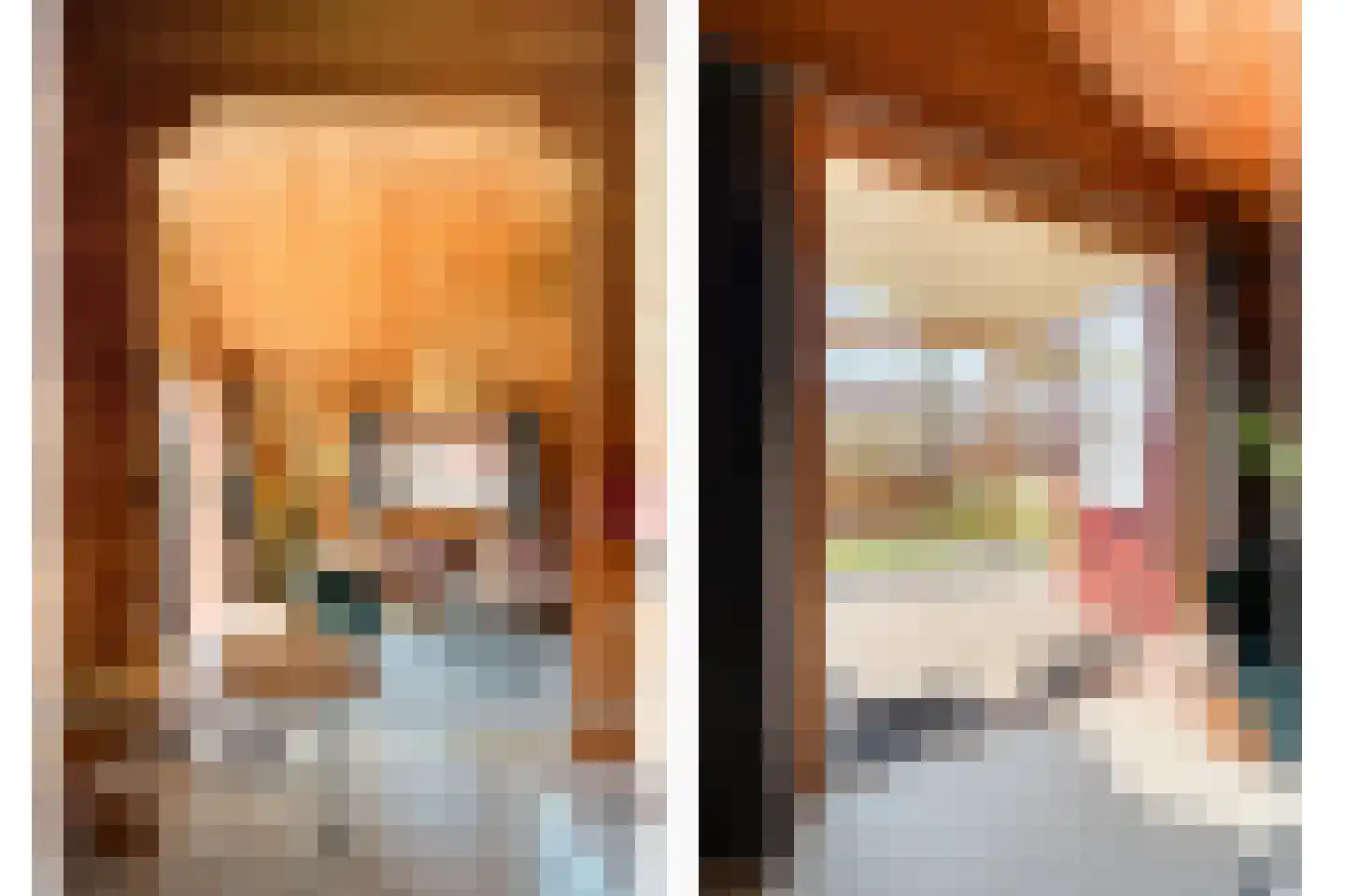 Boslaan 1 R66 Gramsbergen thumbnail 20