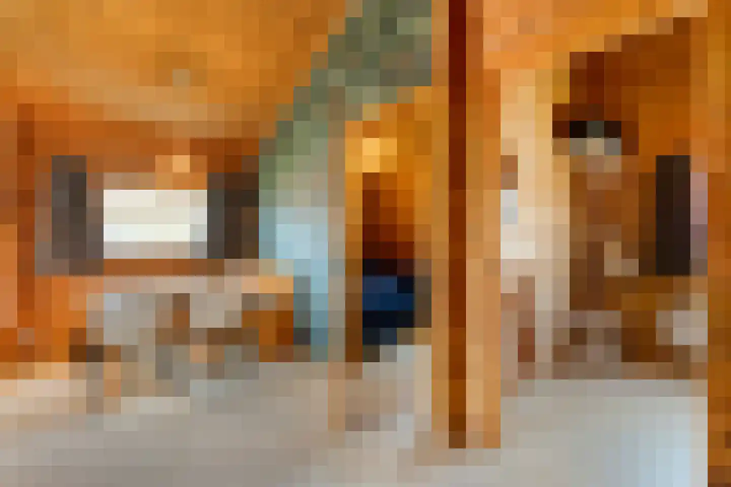 Boslaan 1 R66 Gramsbergen thumbnail 21