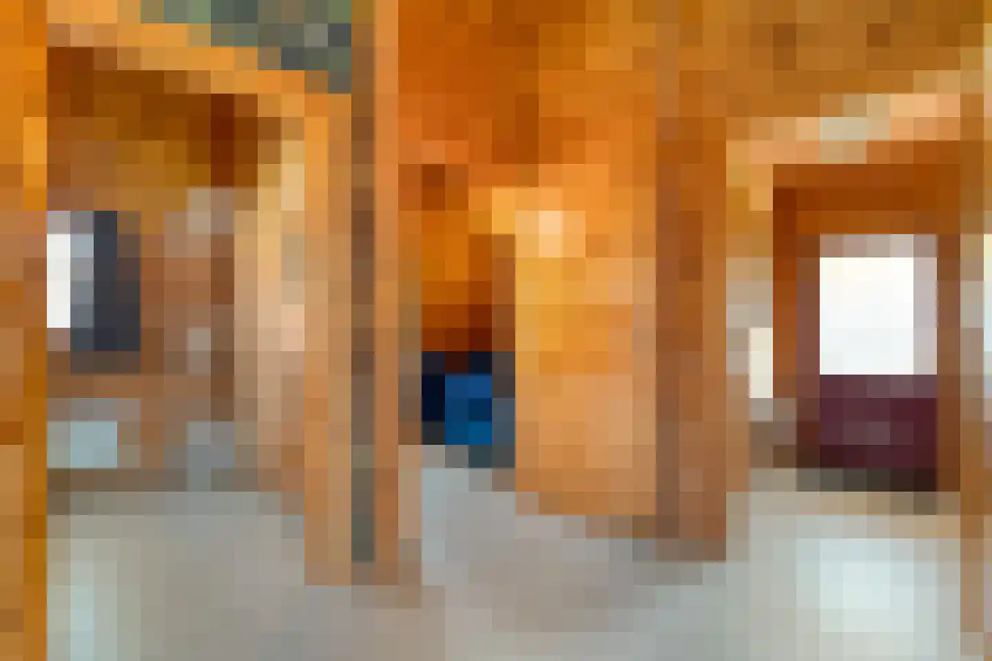Boslaan 1 R66 Gramsbergen thumbnail 22