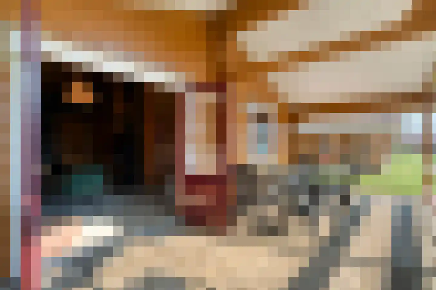 Boslaan 1 R66 Gramsbergen thumbnail 27