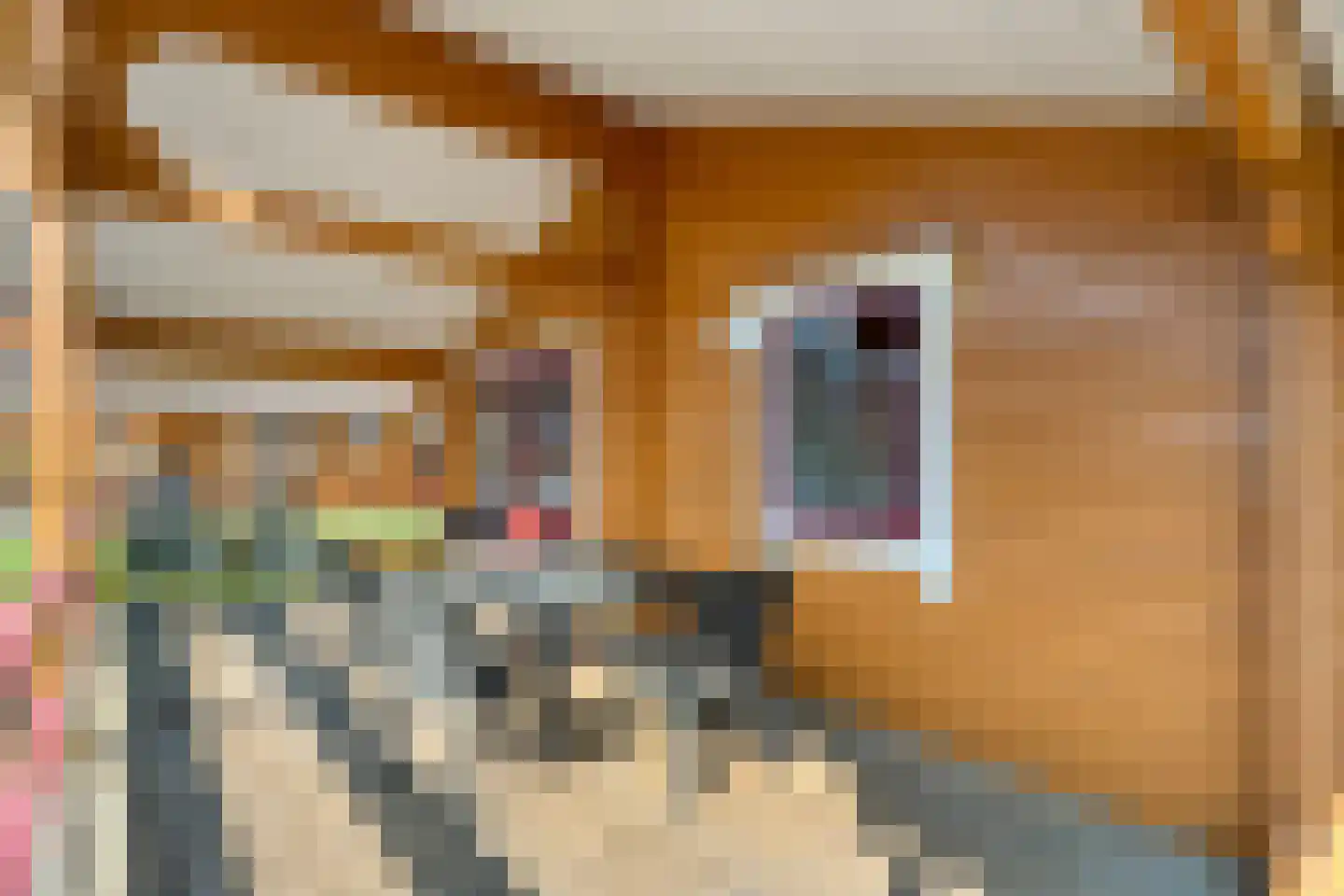 Boslaan 1 R66 Gramsbergen thumbnail 29
