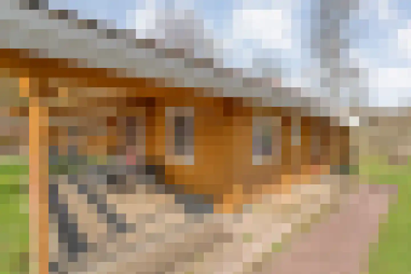 Boslaan 1 R66 Gramsbergen thumbnail 33
