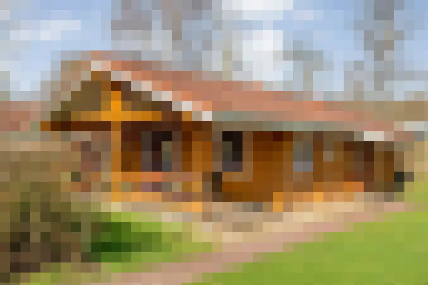 Boslaan 1 R66 Gramsbergen thumbnail 4