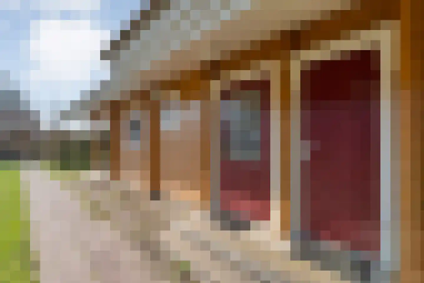 Boslaan 1 R66 Gramsbergen thumbnail 6