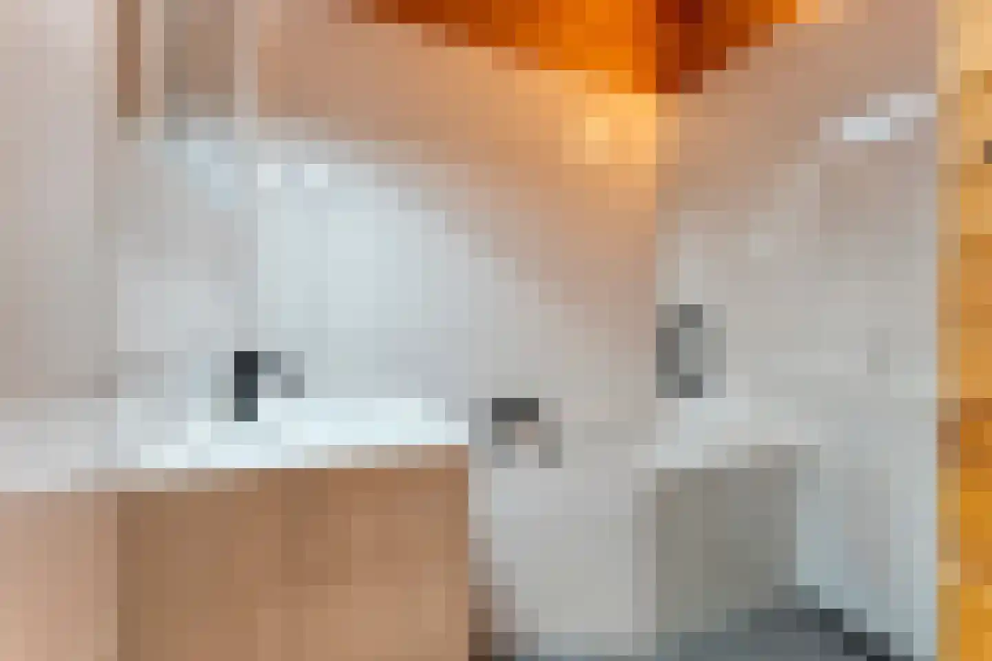 Boslaan 1 R66 Gramsbergen thumbnail 8
