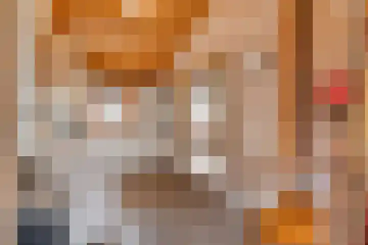 Boslaan 1 R68 Gramsbergen thumbnail 12