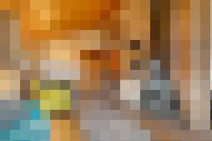 Boslaan 1 R68 Gramsbergen thumbnail 13