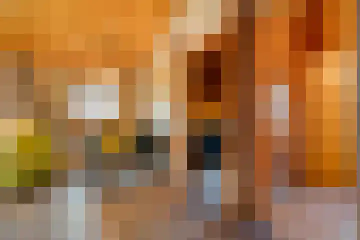 Boslaan 1 R68 Gramsbergen thumbnail 14