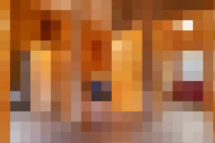 Boslaan 1 R68 Gramsbergen thumbnail 15