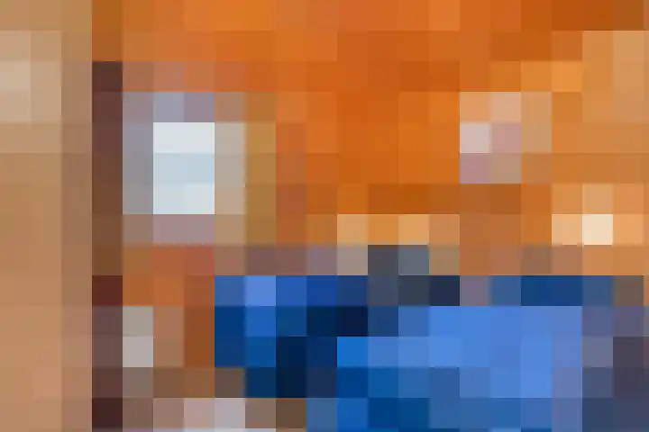 Boslaan 1 R68 Gramsbergen thumbnail 16
