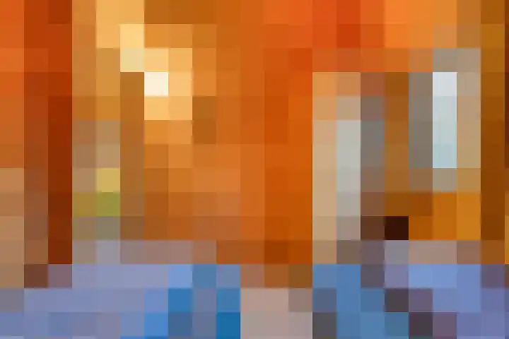 Boslaan 1 R68 Gramsbergen thumbnail 17