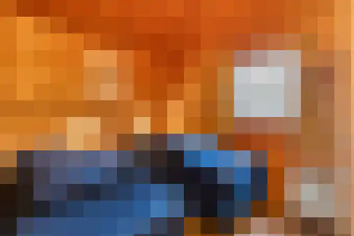 Boslaan 1 R68 Gramsbergen thumbnail 18