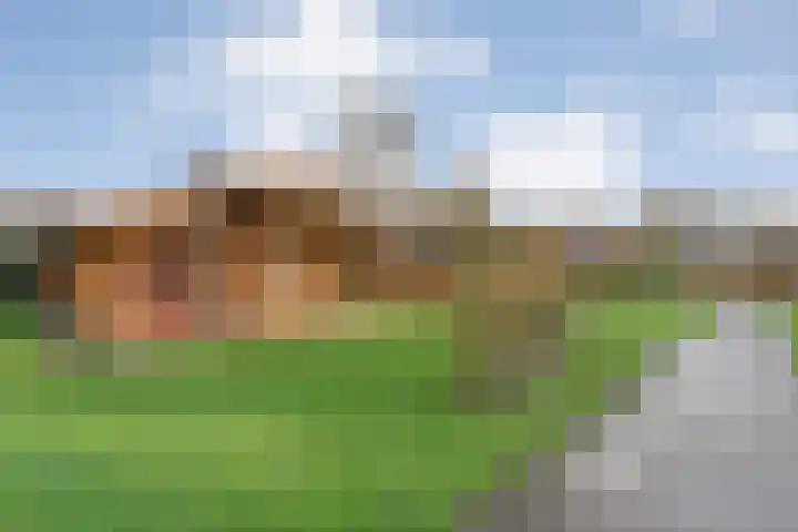 Boslaan 1 R68 Gramsbergen thumbnail 20