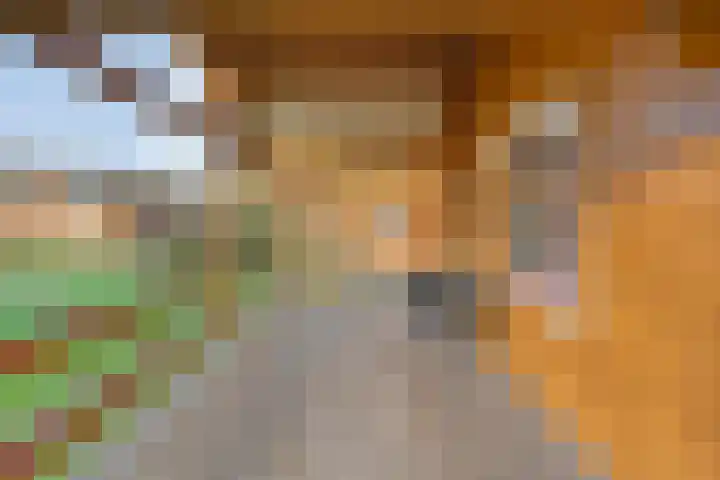 Boslaan 1 R68 Gramsbergen thumbnail 21
