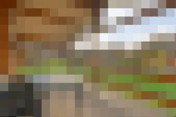 Boslaan 1 R68 Gramsbergen thumbnail 22