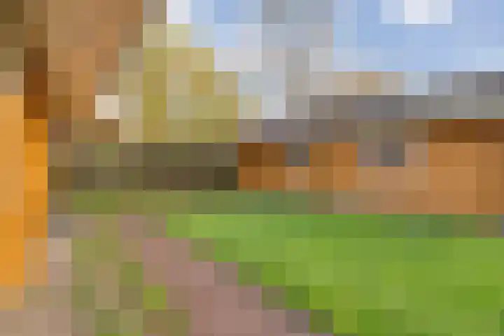 Boslaan 1 R68 Gramsbergen thumbnail 23