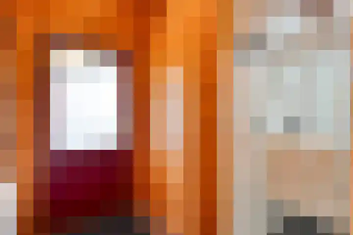 Boslaan 1 R68 Gramsbergen thumbnail 4