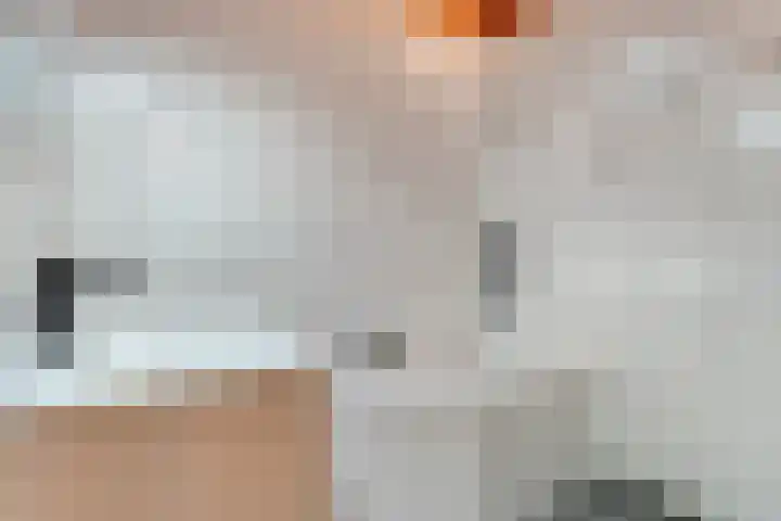 Boslaan 1 R68 Gramsbergen thumbnail 5