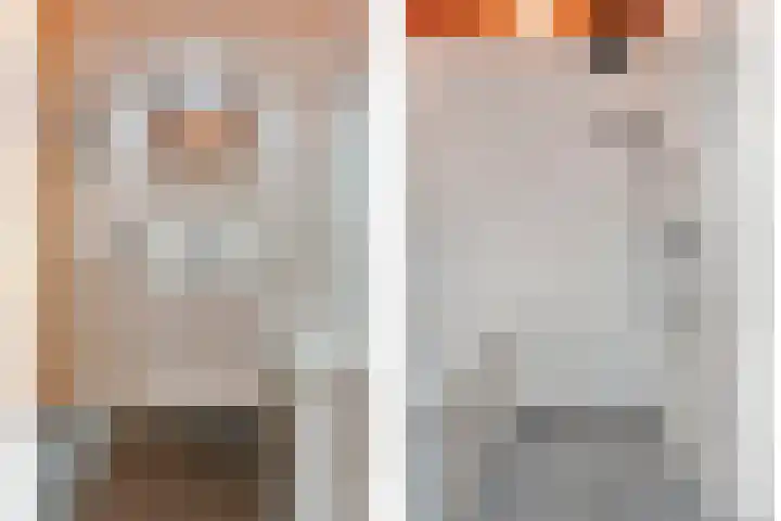 Boslaan 1 R68 Gramsbergen thumbnail 6