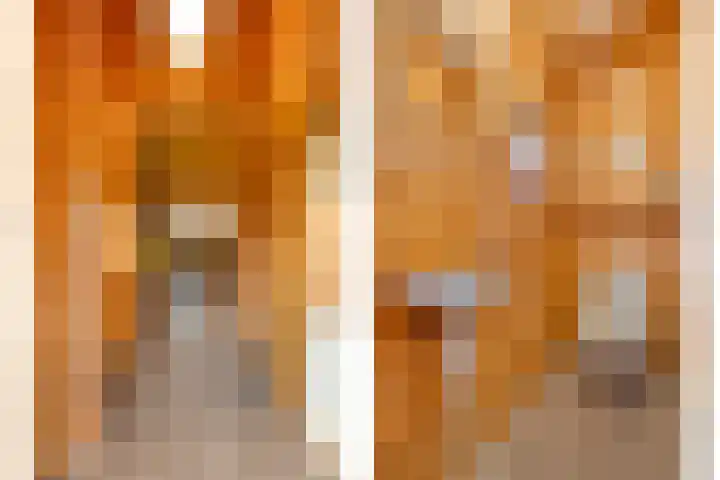 Boslaan 1 R68 Gramsbergen thumbnail 7