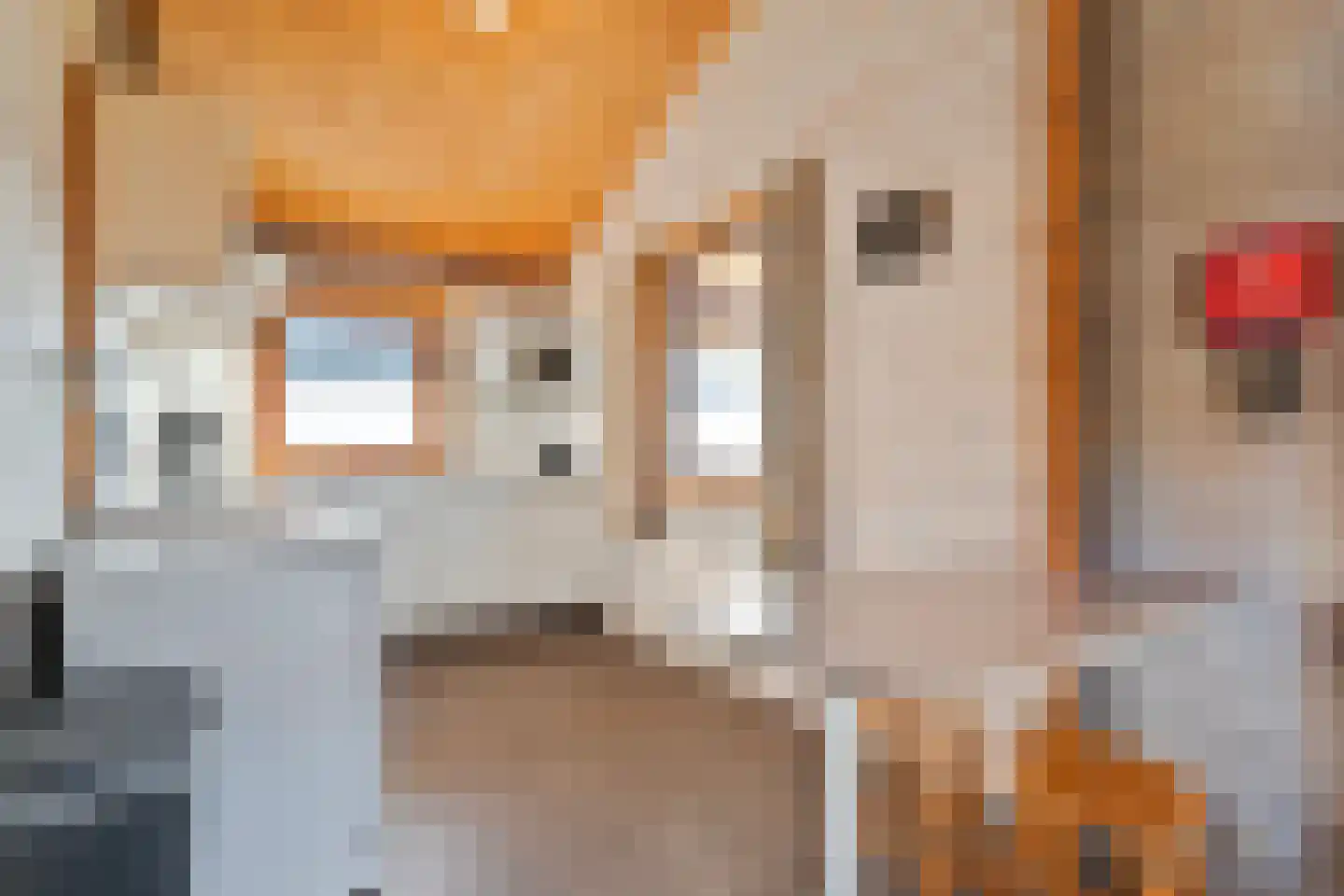 Boslaan 1 R70 Gramsbergen thumbnail 12