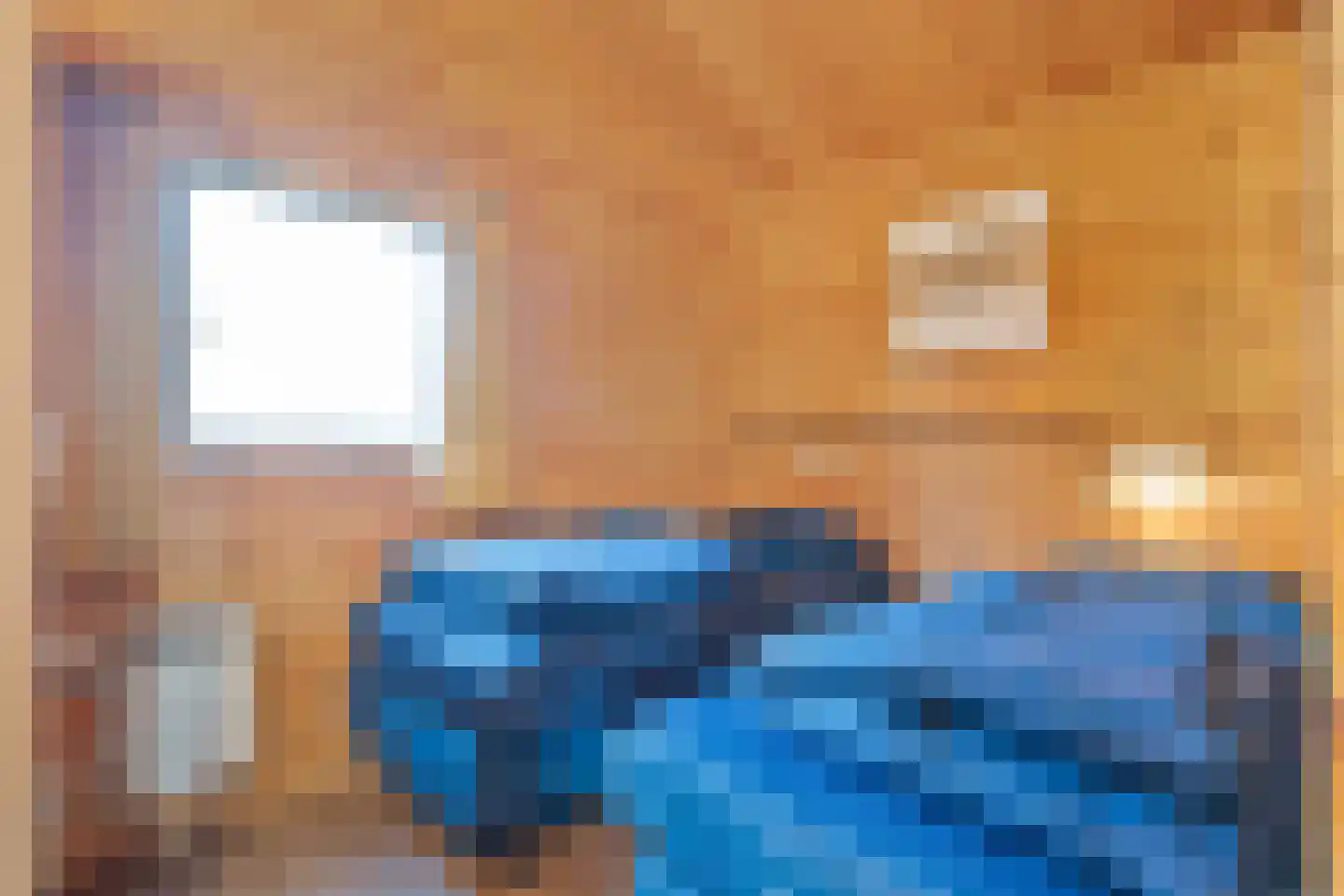 Boslaan 1 R70 Gramsbergen thumbnail 16