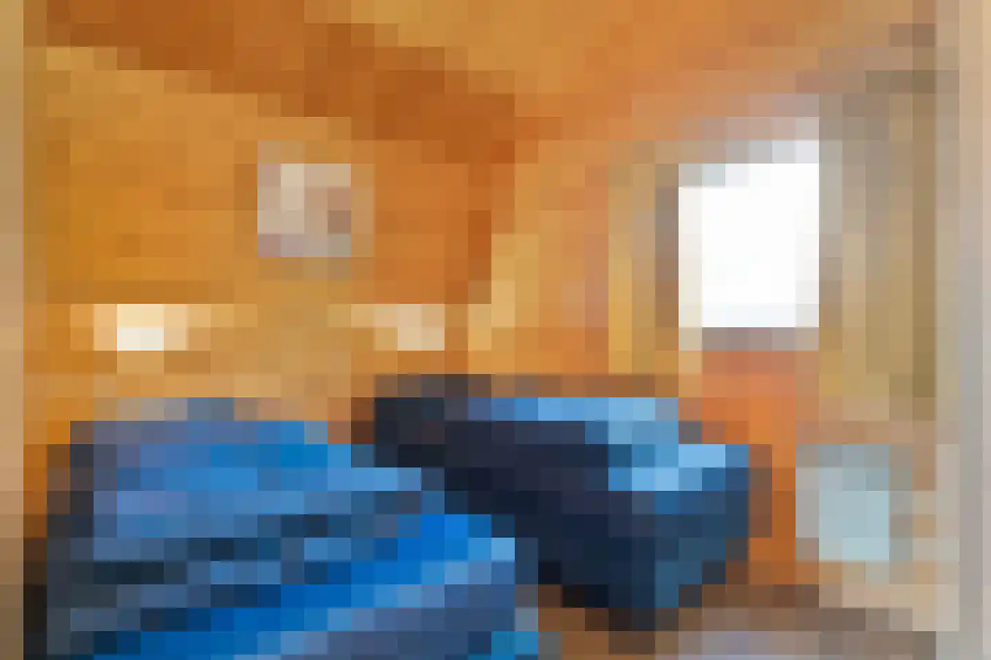 Boslaan 1 R70 Gramsbergen thumbnail 18