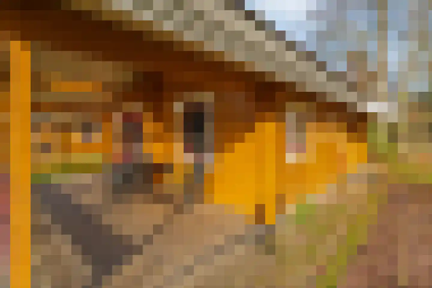 Boslaan 1 R70 Gramsbergen thumbnail 20