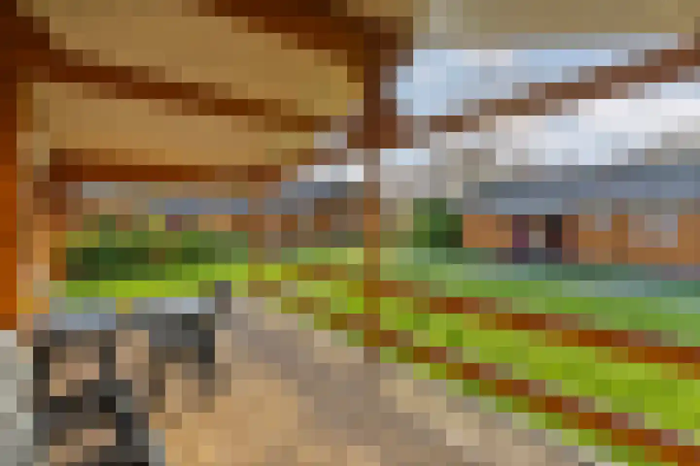 Boslaan 1 R70 Gramsbergen thumbnail 21
