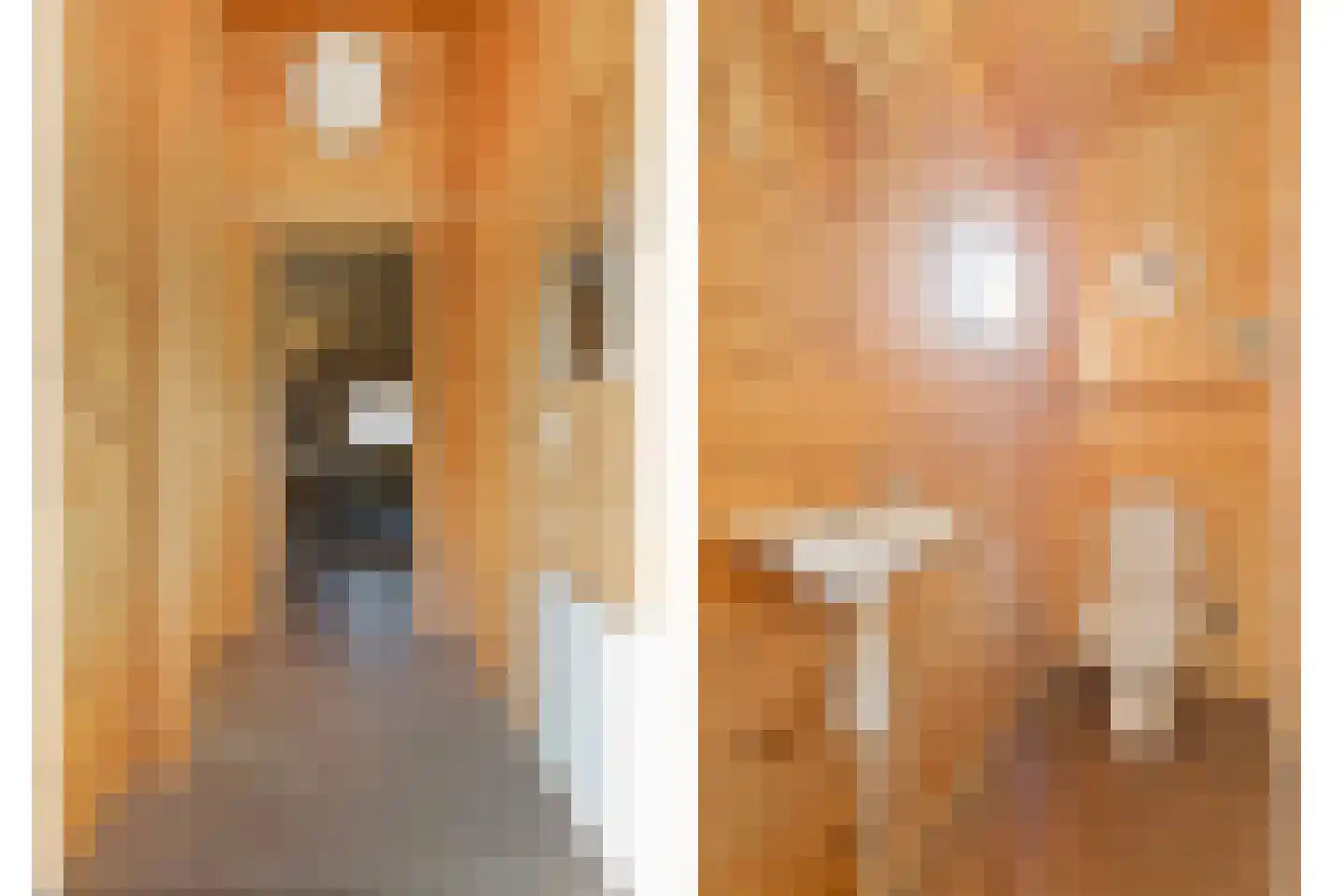 Boslaan 1 R70 Gramsbergen thumbnail 7