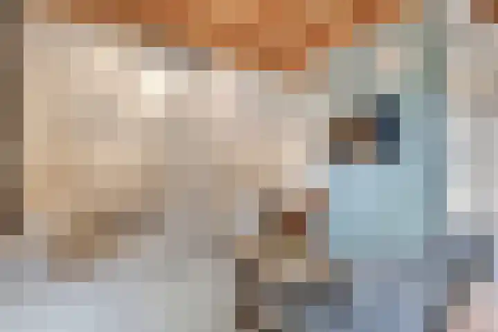 Boslaan 1 R79 Gramsbergen thumbnail 10