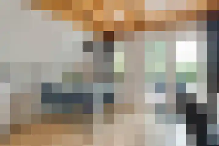 Boslaan 1 R79 Gramsbergen thumbnail 11