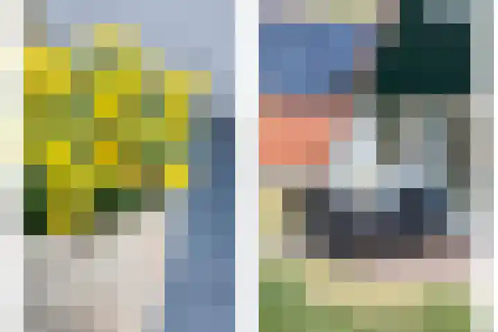 Boslaan 1 R79 Gramsbergen thumbnail 12