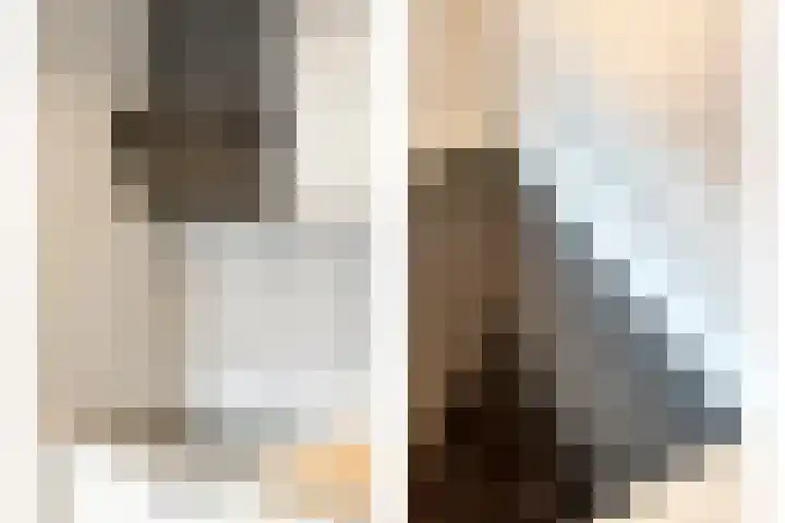 Boslaan 1 R79 Gramsbergen thumbnail 14