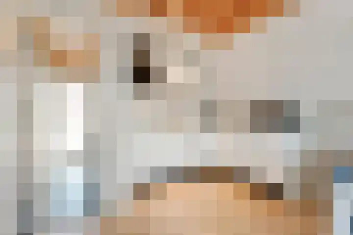 Boslaan 1 R79 Gramsbergen thumbnail 16