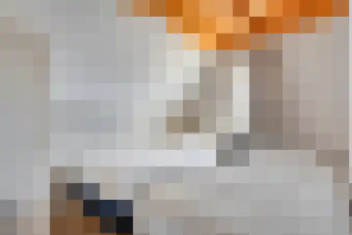 Boslaan 1 R79 Gramsbergen thumbnail 18