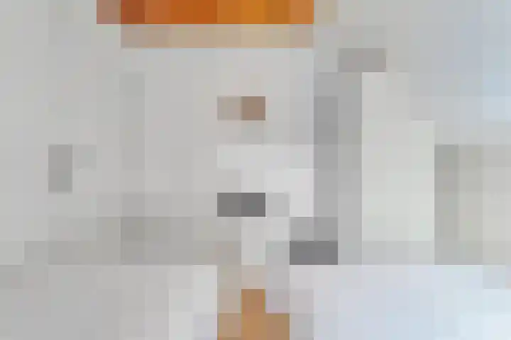Boslaan 1 R79 Gramsbergen thumbnail 19