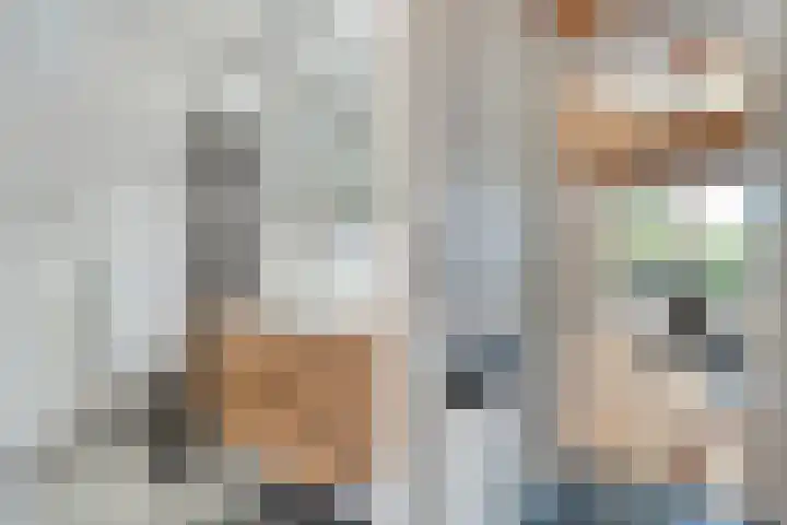 Boslaan 1 R79 Gramsbergen thumbnail 20