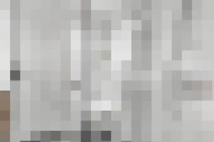 Boslaan 1 R79 Gramsbergen thumbnail 22