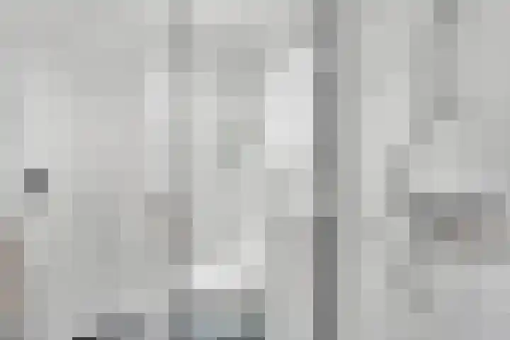 Boslaan 1 R79 Gramsbergen thumbnail 24