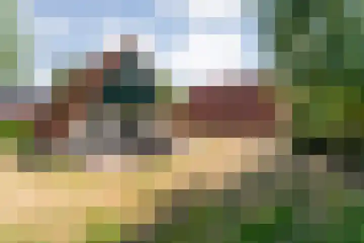 Boslaan 1 R79 Gramsbergen thumbnail 29