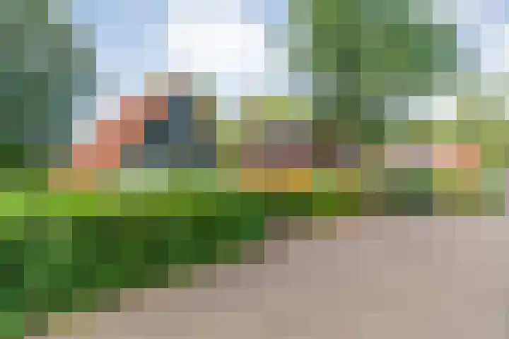 Boslaan 1 R79 Gramsbergen thumbnail 32