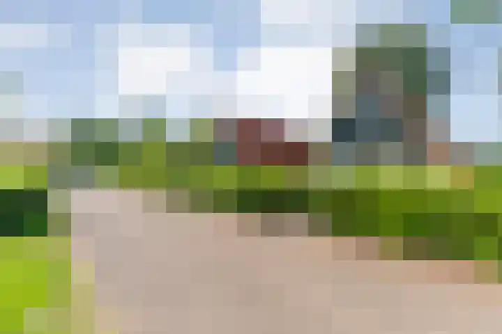 Boslaan 1 R79 Gramsbergen thumbnail 33