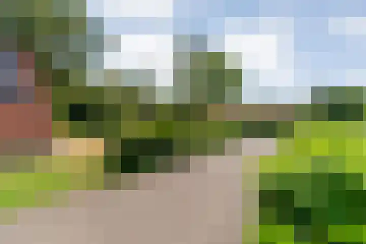 Boslaan 1 R79 Gramsbergen thumbnail 34