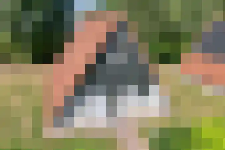 Boslaan 1 R79 Gramsbergen thumbnail 4