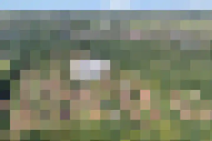 Boslaan 1 R79 Gramsbergen thumbnail 6