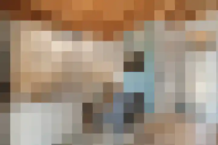 Boslaan 1 R79 Gramsbergen thumbnail 7