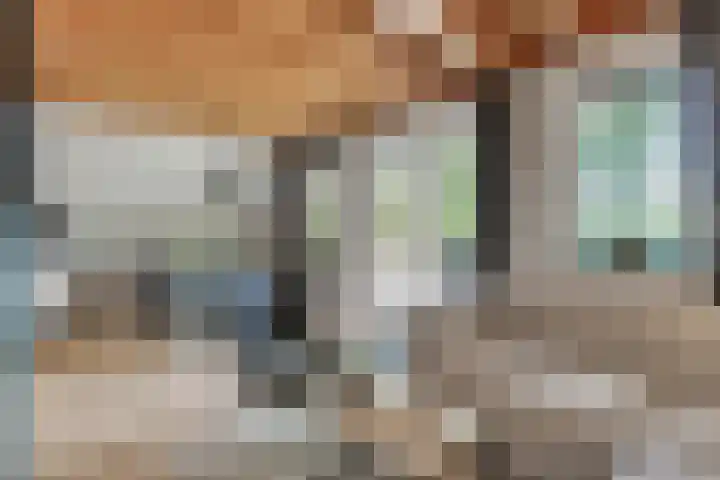 Boslaan 1 R79 Gramsbergen thumbnail 8
