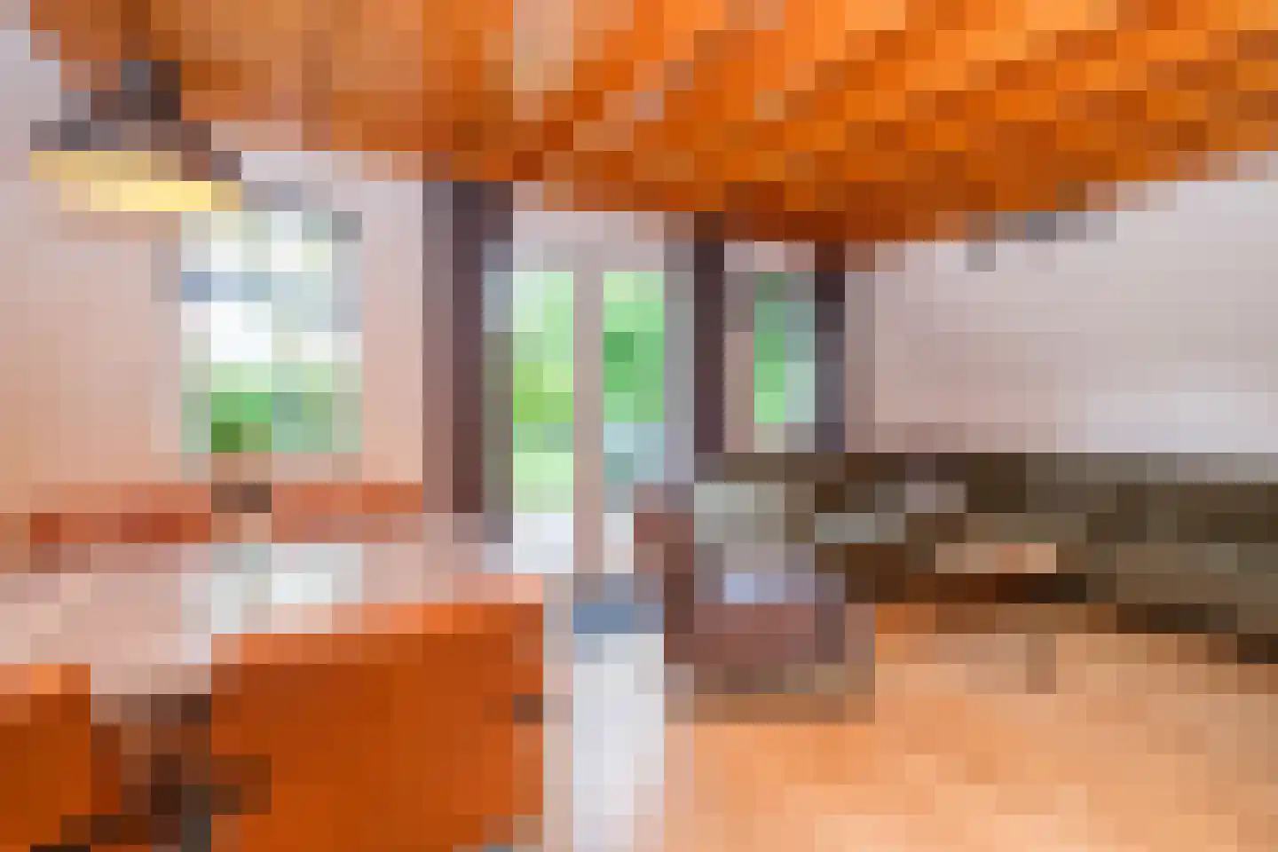 Boslaan 1 R80 Gramsbergen thumbnail 10